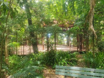 Botanical Gardens Hervey Bay Wedding Venues